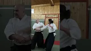 Miniature : Gyaku hanmi katatedori kote gaeshi #aikido #shorts (2026)