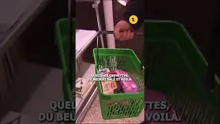 Miniature : Laponie : ce Français quitte sa meute pour se ravitailler  #shorts