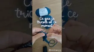 Miniature : Et vous, vous tricotez quoi? #tricot #aknittingjourney #sophiescarf #knitting