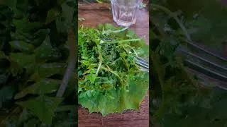 Miniature : Cette salade sauvage change tout ! #wildkitchen #foraged