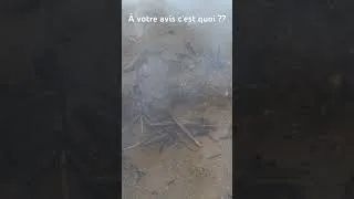 Miniature : La Loire est elle dangereuse ? #fishing #mortal #dangerous #pêche #fish #fishinglife