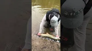 Miniature : Le BALAM 200 🔥 #fishing #fish #poisson #pêche #pike #catchandrelease