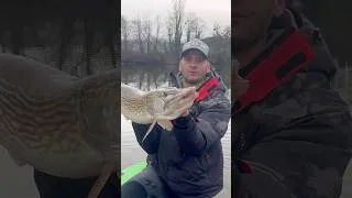 Miniature : Quand tu as une DENT 🦷 contre ton brochet RECORD !