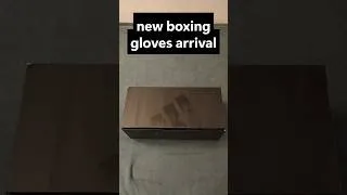 Miniature : New boxing gloves arrival