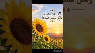 Miniature : لكل زمن شمس. ولكل شمس عبادها