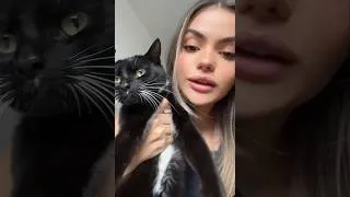 Miniature : Le chatgate : le chat va bien
