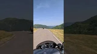Miniature : Se week-end c'était direction Seix en Ariège pour la fête de la moto🏍☀️ #bike #motorcycle #moto #sun