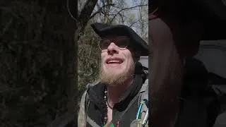Miniature : Ils débourrent enfin ! 😅