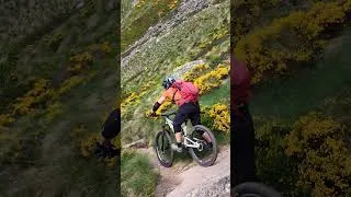Miniature : VTT - nose turns :)
