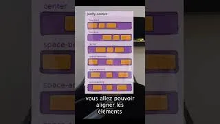 Miniature : CSS Flexbox en 60 secondes #developpeurweb #développeur