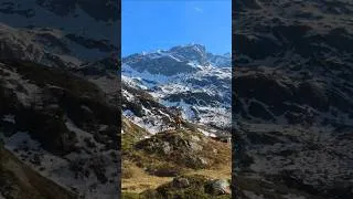 Miniature : #shorts #naturelovers #mountains #campping #adventure #wildlife #outdoors #trekking #mountainview