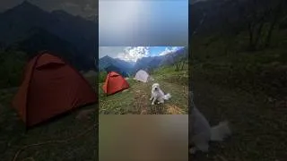 Miniature : #camping #trekking #adventure #mountains #naturelovers #doggielife #shorts #wildlife #outdoors