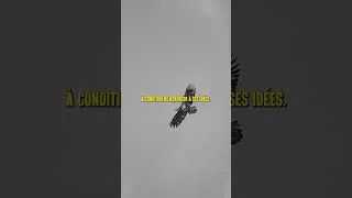 Miniature : Ils l’ont enfermé. Ils ont créé un symbole.