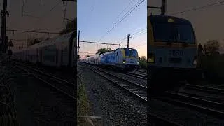 Miniature : HLE1880 + M6 - Braine-le-Comte #train #trainspotting #sncb