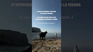Miniature : Ce que mon chien m’a appris