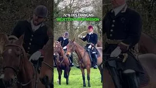 Miniature : 72 % des Français contre eux (Chasse à courre)