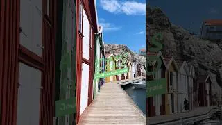 Miniature : On s’est bien fait secouer ! 🫨 #vanlife #roadtrip #europetravel #travel #dailyvlog #vlogs #sweden
