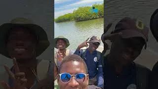 Miniature : Pape Diène Faye :  dans les pas d’un chercheur en écologie de la mangrove