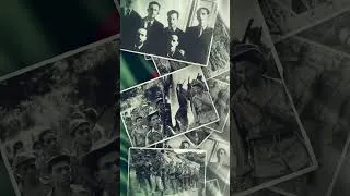 Miniature : 71 ème anniversaire du déclenchement de la Révolution de libération. 1954-2025. #algerie #novembre54
