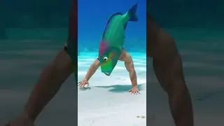 Miniature : Fish Doing Yoga Underwater