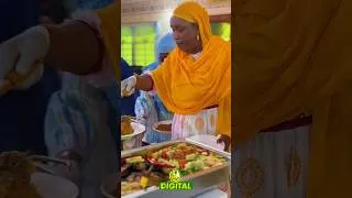 Miniature : Grande cérémonie de réception des anciens du Dahira des Étudiants Mourides (DEM) à Touba
