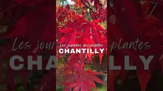 Miniature : Journée-des-plantes-Chantilly