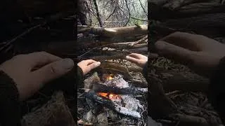Miniature : Alone Outdoor France | Solo Campfire in the Wild 🔥#Bushcraft #Shorts #YouTubeShorts #Fire