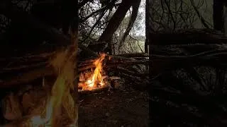 Miniature : Bushcraft hivernal au cœur de la forêt dans le sud de la France 🇨🇵