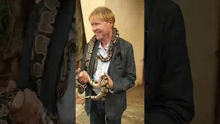 Miniature : Ma Première Rencontre avec un Python Sacré en DIRECT !