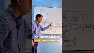 Miniature : Structures algébriques Sciences Maths : Important pour BAC 2026