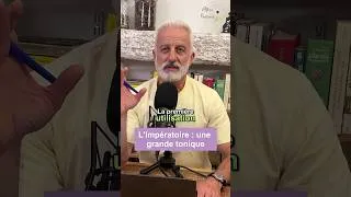 Miniature : 🌿 L’impératoire, une grande tonique ?
