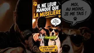 Miniature : On dit des chiens qu’il ne leur manque que la parole… 😂 La vérité sur les gens qui parlent trop