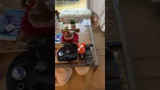 Miniature : Temps forts du direct
