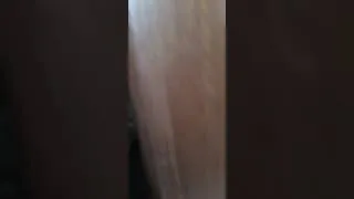 Miniature : On découvre des CADAVRES à Pattaya!!😱