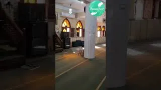 Miniature : des nouveaux tapis pour une mosquée
