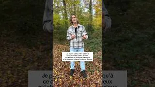 Miniature : Je veux vous voir dans les commentaires ⤵️