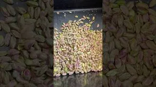Miniature : Pistachio Shelling Machine