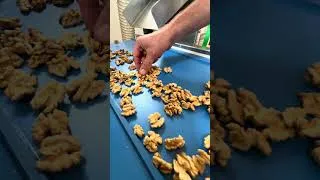 Miniature : walnut cracking machine with highest results on the market