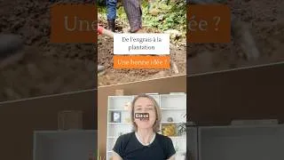 Miniature : De l'engrais à la plantation, bonne idée❓