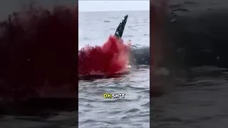Miniature : L'explosion d'une baleine 🇺🇸😱