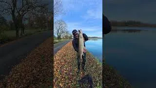 Miniature : Changement de leurre payant … #peche #fishing #brochet