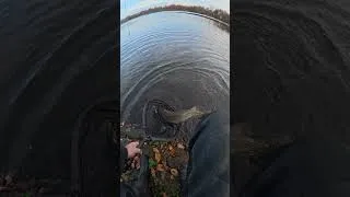 Miniature : Quand ton pote te crie dessus … POISSON !!! #fishing #brochet #crier