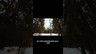 Miniature : Une Graine Semée