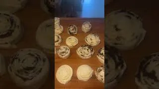 Miniature : مسيمنات بالزيتون