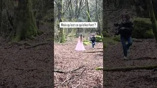 Miniature : Set Up VS Result
