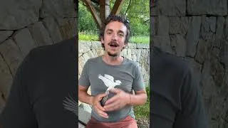 Miniature : 🚀 Top 5 des dingueries agricoles et écologiques • Ep3