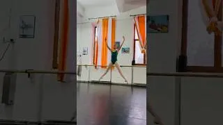 Miniature : Training Today, Dancing Tomorrow