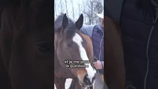 Miniature : #cheval #cavalier #andybooth #horsemanscience #horse