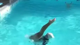 Miniature : Barracuda au ralenti