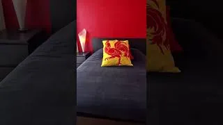 Miniature : Dormir dans un micro musée oui à Bxl #angelsvlogging #foryou #frites